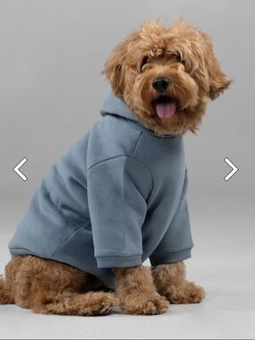 Comfrt Signature Paw Hoodie In Bone, Size Medium NWOT